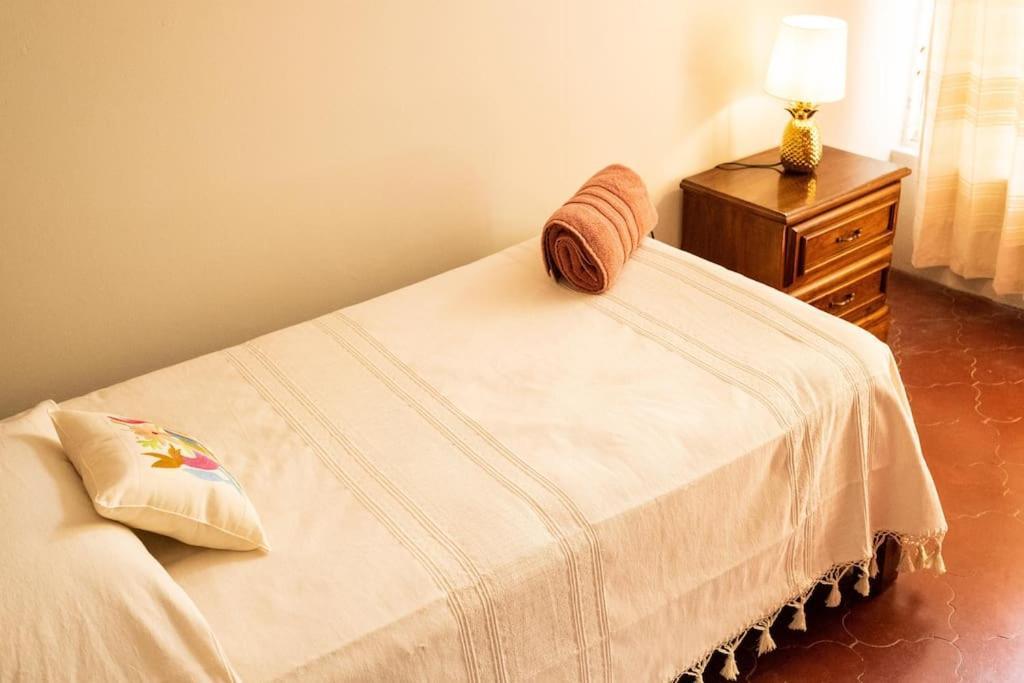 Oaxaca3 Bd House Steps From Santo Domingo公寓 外观 照片